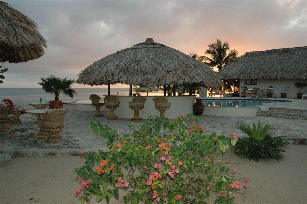 Almond Beach Resort At Jaguar Reef Hopkins Kültér fotó