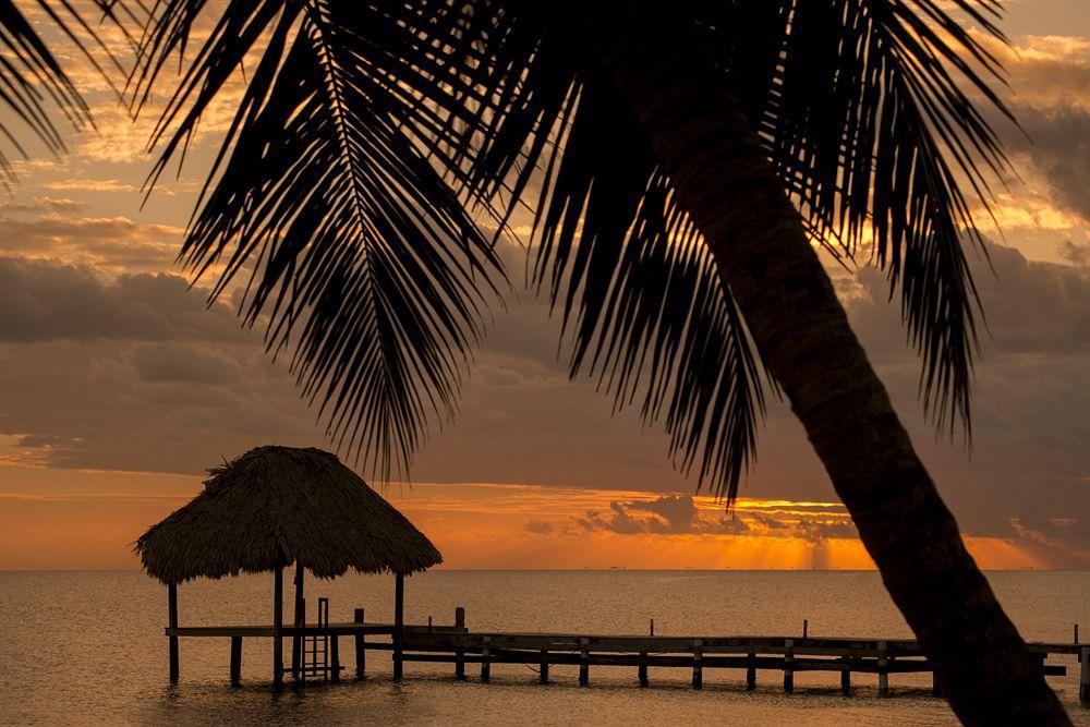 Almond Beach Resort At Jaguar Reef Hopkins Kültér fotó