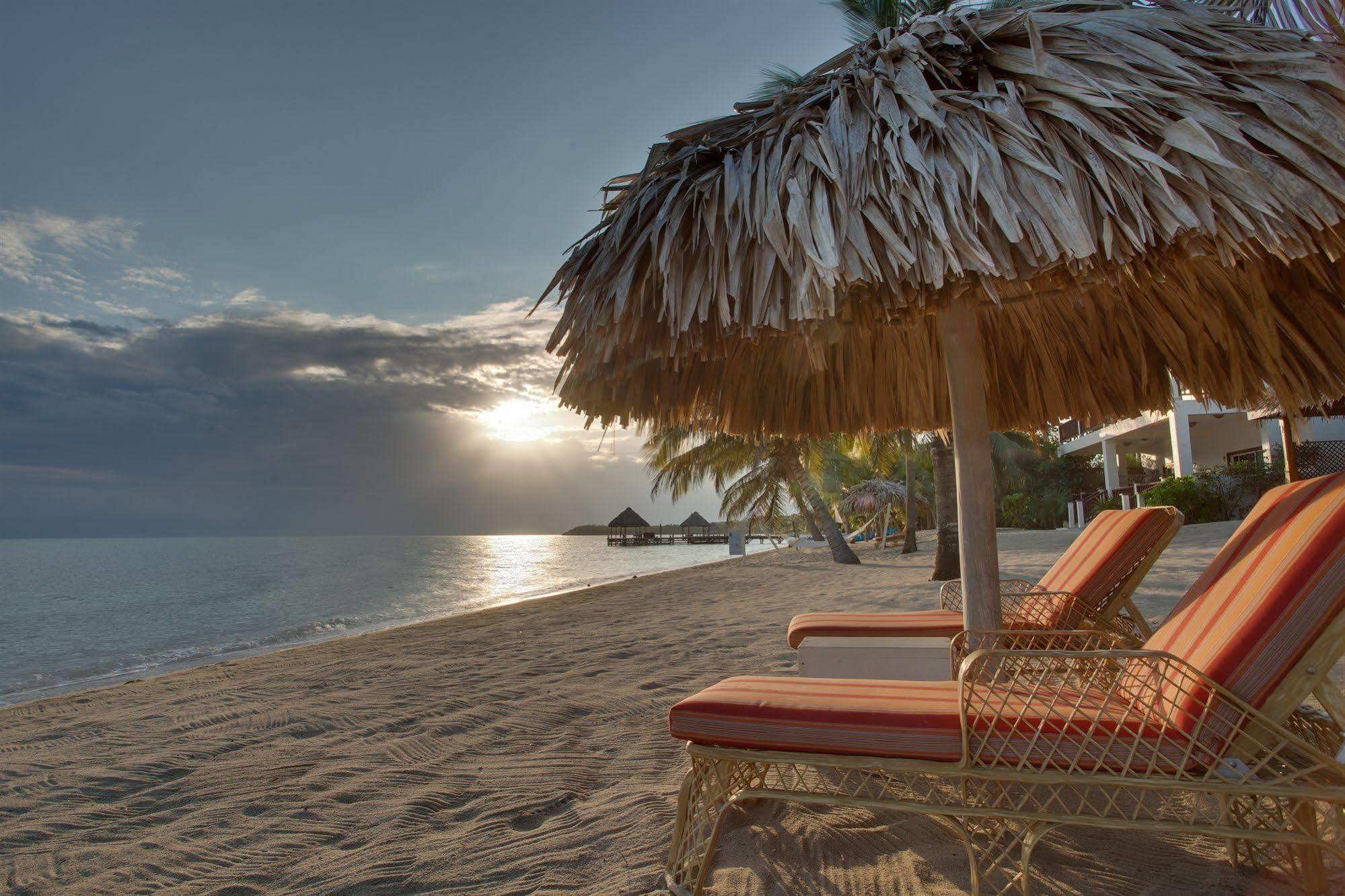 Almond Beach Resort At Jaguar Reef Hopkins Kültér fotó