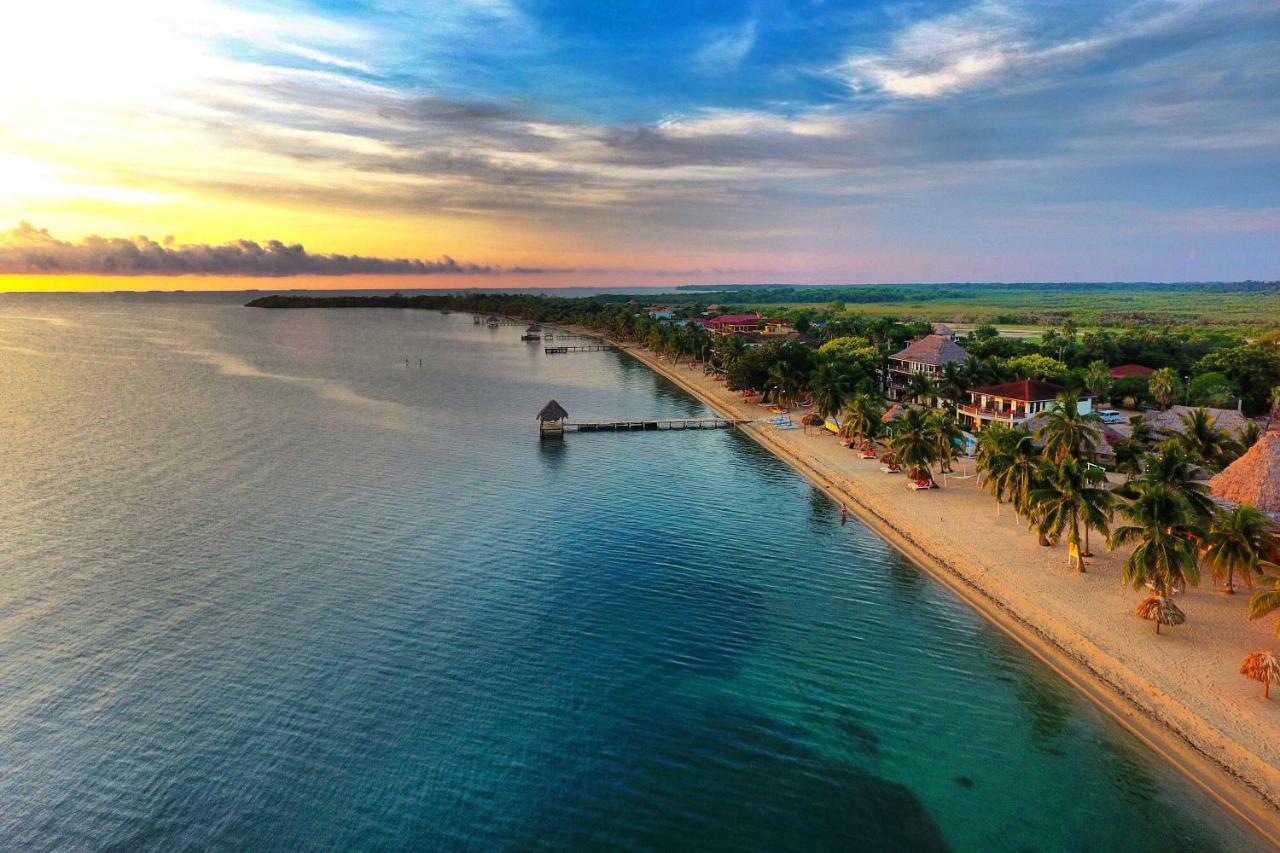 Almond Beach Resort At Jaguar Reef Hopkins Kültér fotó